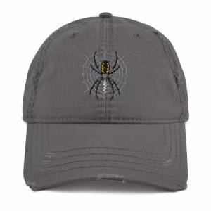 Spider and Web Embroidery Hat Grey