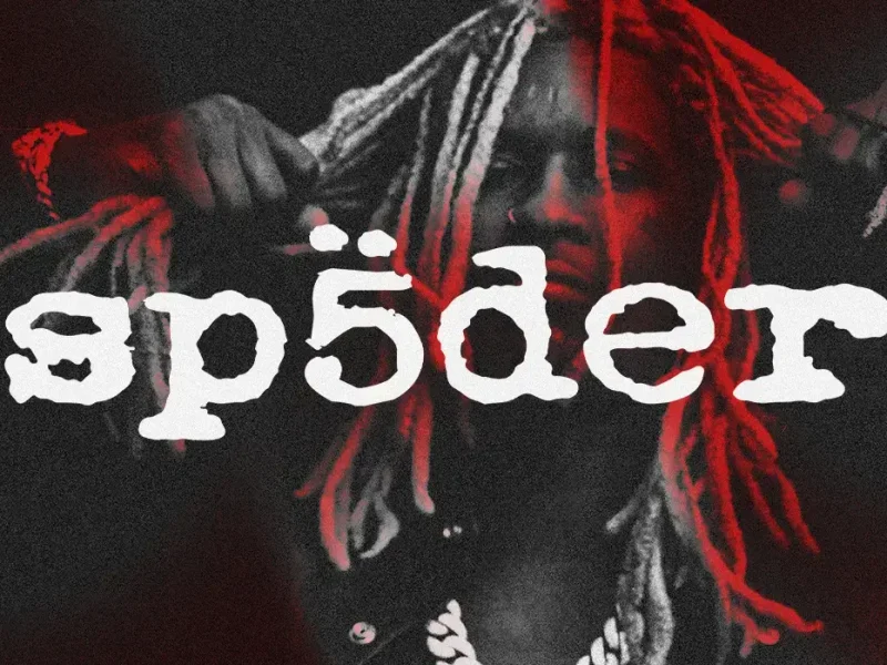 Spider Hoodie Banner